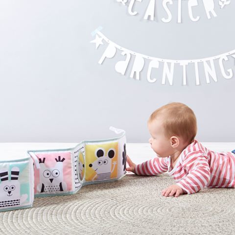 ספר עגלה 3 ב 1 עם נשכן טף טויס Taf Toys