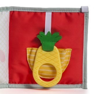 ספר עגלה 3 ב 1 עם נשכן טף טויס Taf Toys