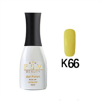 K66