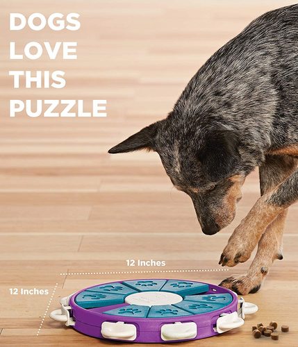 Dog Twister משחק חשיבה לכלבים רמה 3