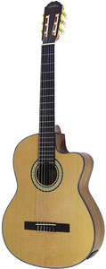 גיטרה קלאסית-  מוגברת  WALDEN  WD N450CEQ