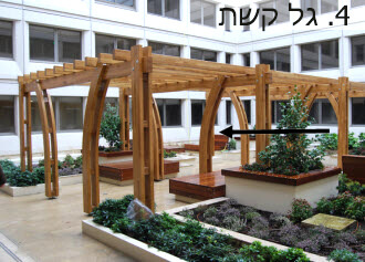 קורות עץ רב שכבתי מכופף לפרגולות