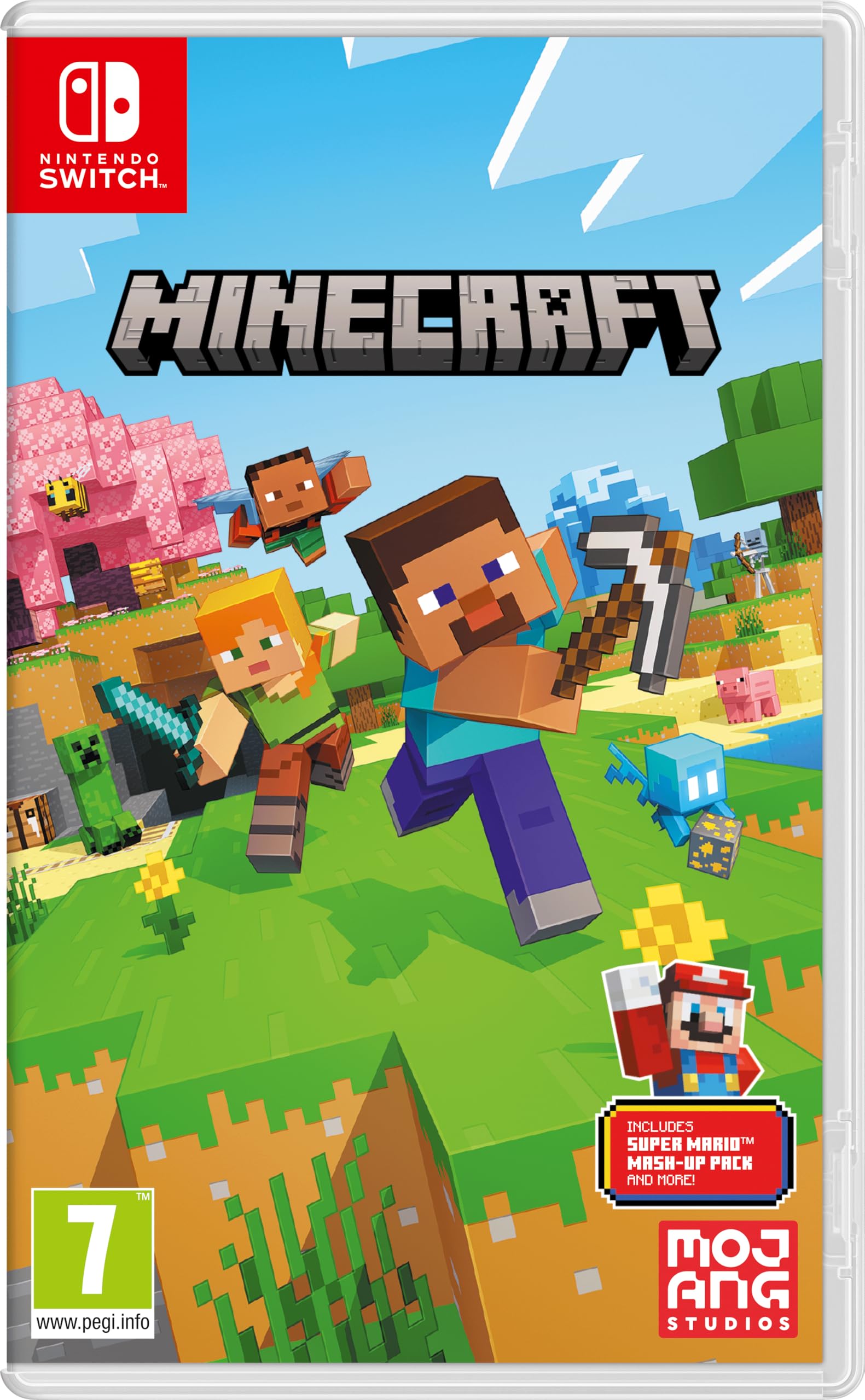 NINTENDO SWITCH MINECRAFT