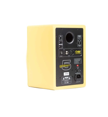 מוניטור אולפני 