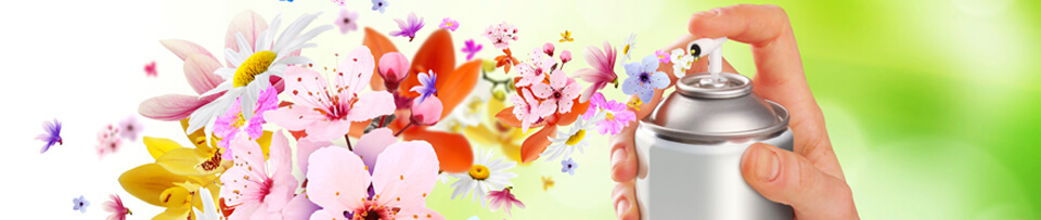 Dc5d1bb67b329467c0f93379745bf1d6