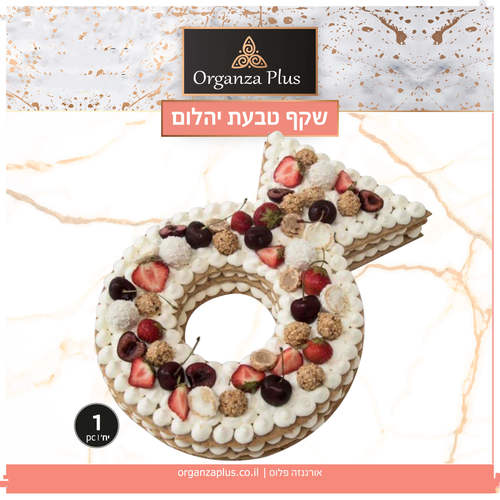 שבלונה מפלסטיק לעוגה בגודל A3 בצורת טבעת