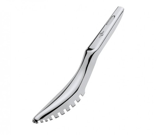 מגרד קשקשים לדג fish scaler