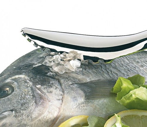 מגרד קשקשים לדג fish scaler