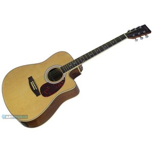 גיטרה אקוסטית מט Walden AG460C