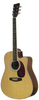 גיטרה אקוסטית מוגברת Walden AG460CEQ