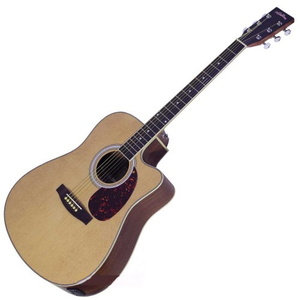 ‏גיטרה אקוסטית Walden AG450C