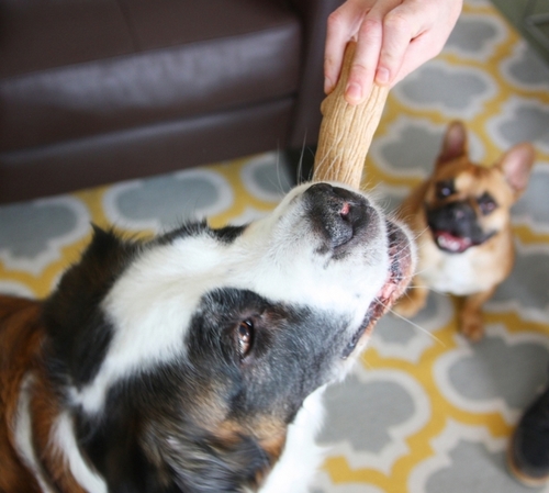 Dogwood Flip and Chew Bone 67723
