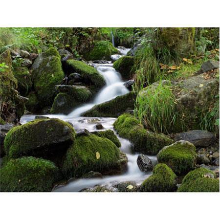 schneider 4X4 ND 1.2 filter