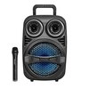 ‏בידורית קריוקי Pure Acoustics ZX80