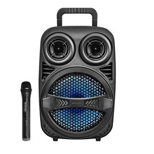 ‏בידורית קריוקי Pure Acoustics ZX80