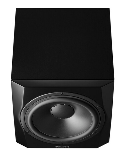 זוית נוספת Dynaudio 9S