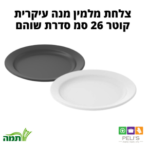 צלחות מלמין גדולות