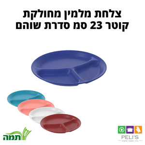 צלחת מלמין מחולקת צבעונית