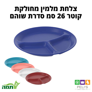 צלחת מלמין מחולקת גדולה