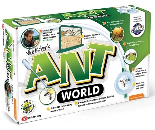 חוה שקופה לגידול וחקר נמלים - ANT World