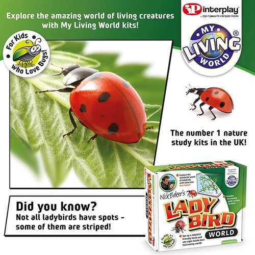 חוה שקופה לגידול וחקר חיפושיות - Ladybird World