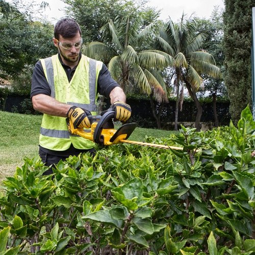 גוזם גדר חיה נטען DEWALT DCM563N 18V XR - להב דו-כיווני 550 מ