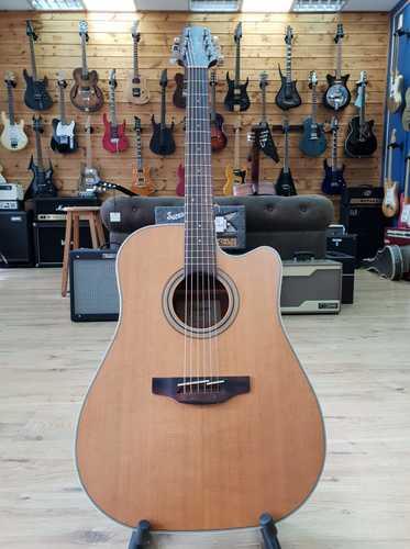 Takamine GD20CE
