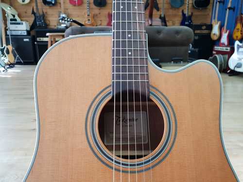 Takamine GD20CE