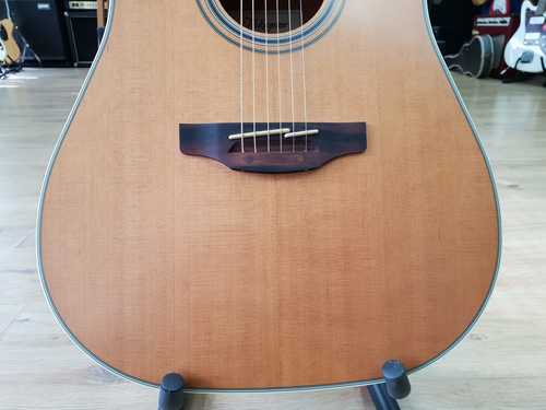 Takamine GD20CE