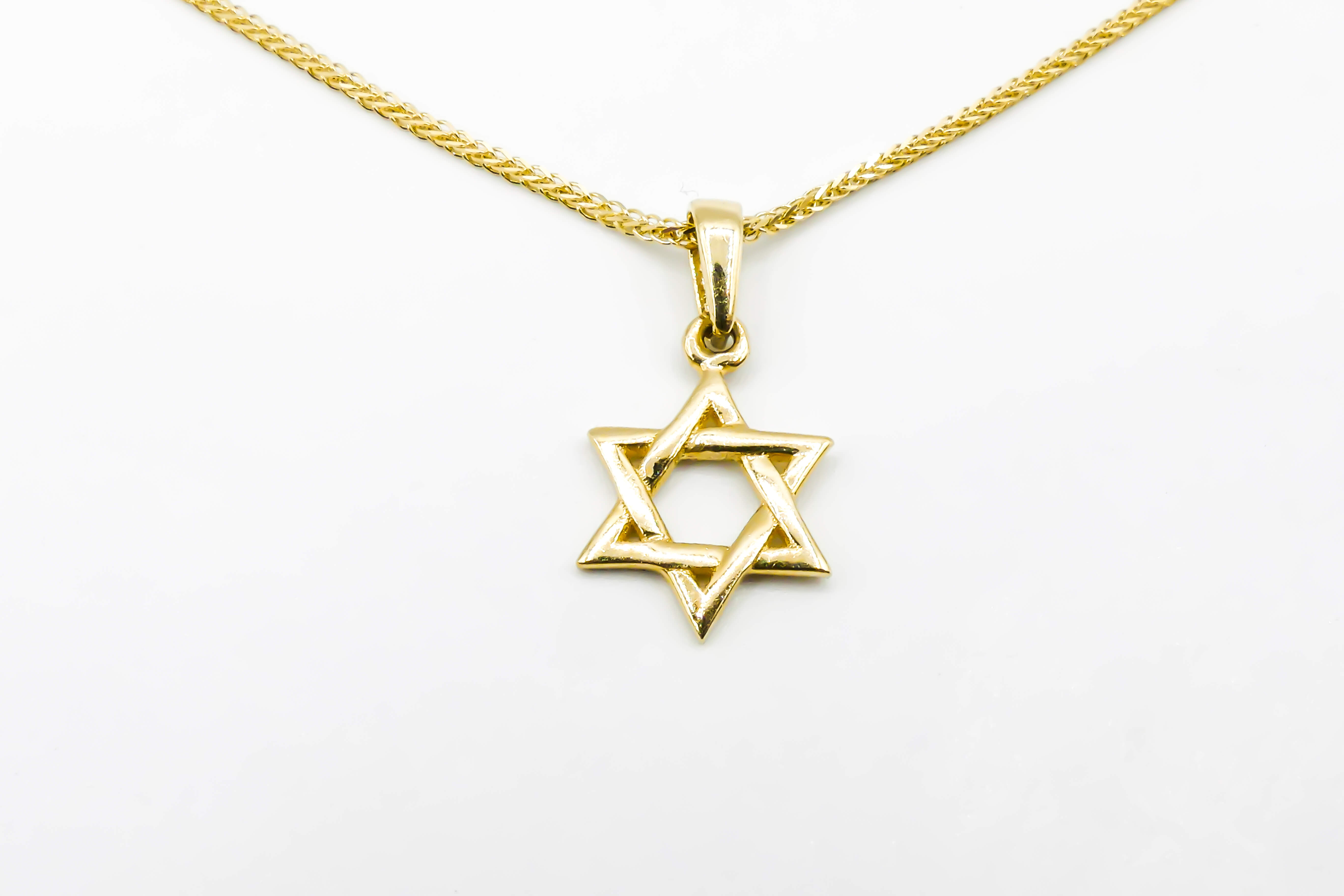 שרשרת עם תליון מגן דוד צמה