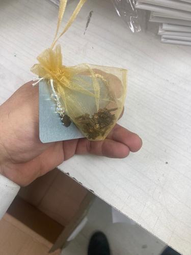 תפילה בעת בכי התינוק וציפורן דגם 560