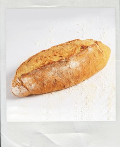 לחם מחמצת צרפתי לחמי מחמצת