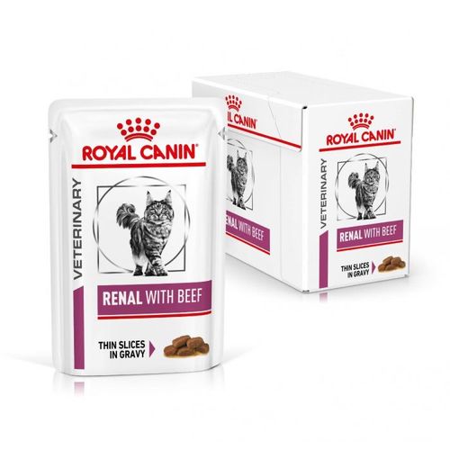 רויאל קנין Royal Canin לחתול רנאל פאוץ' 12 יחידות