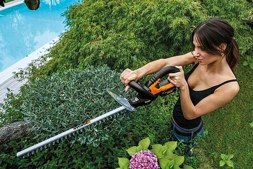 גוזם גדר חיה נטען 20V WORX WG261E.9 [ גוף בלבד ]
