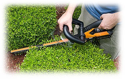 גוזם גדר חיה נטען 20V WORX WG261E.9 [ גוף בלבד ]