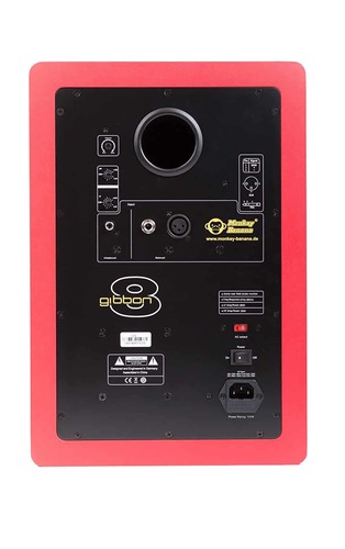 מוניטור אולפני 