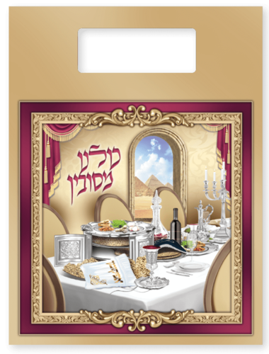 שקית גדולה תשפא