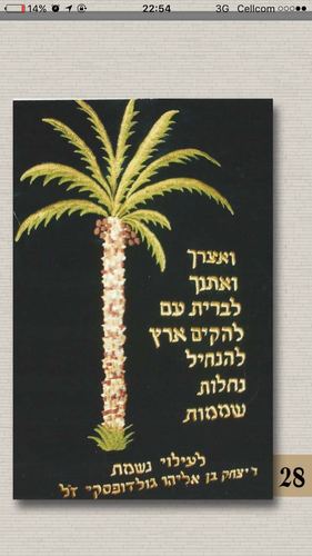 פרוכת