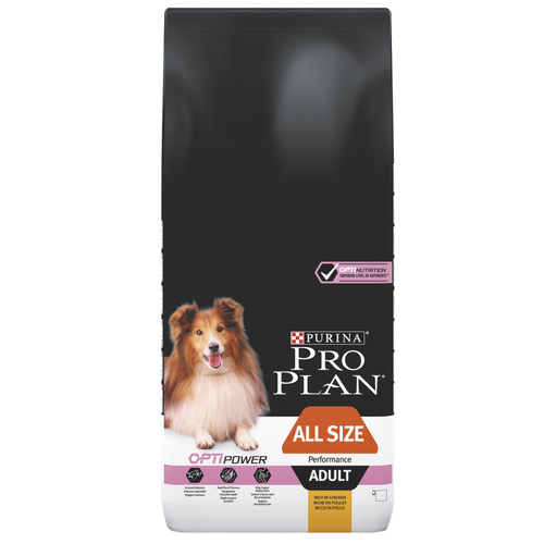 rottweiler ashes urn