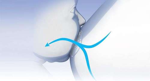 זוג מגיני פטמה מסיליקון מסדרת SkinToSkin + קופסת פלסטיק הגיינית - S/M