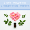 קורס ארומתרפיה אינטרנטי עם מיכל לוין - שיעור מס' 3 - שמני פרחים/פירות (הקלטה)