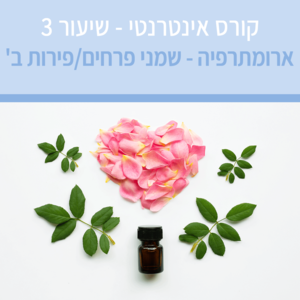 קורס ארומתרפיה אינטרנטי עם מיכל לוין - שיעור מס