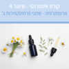קורס ארומתרפיה אינטרנטי עם מיכל לוין - שיעור מס' 4 - שמני פרחים/פירות (הקלטה)