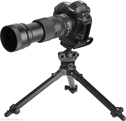 עדשת Sigma 100-400mm f/5-6.3 סיגמא בלוג צילום בעברית