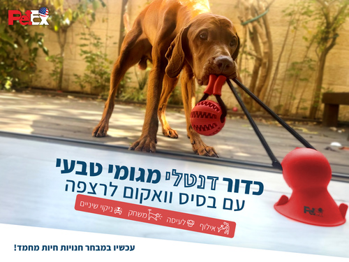 משחק חבל דנטלי לכלב בשילוב כדור גומי 