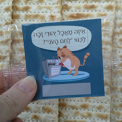 חידות מתגרדות לפסח - גיל 6-10 שנים