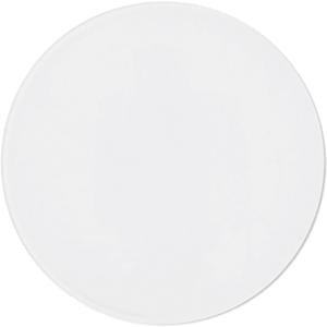 Profoto Frosted Glass for Softlight Reflector