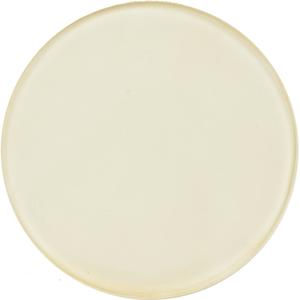 Profoto Glass Plate for Flat Front Frosted UV -600 K