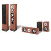 רמקול Pure Acoustics RB6F