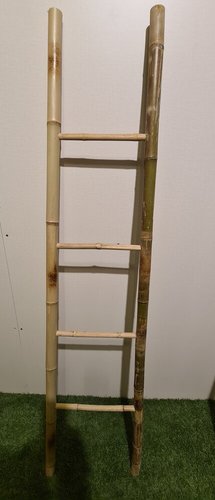 סולם במבוק לדקורציה 1.50 מ'